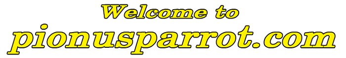 pionusparrot.com